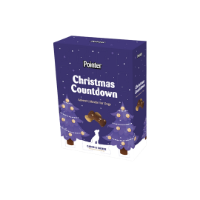 Pointer Advent Calendar