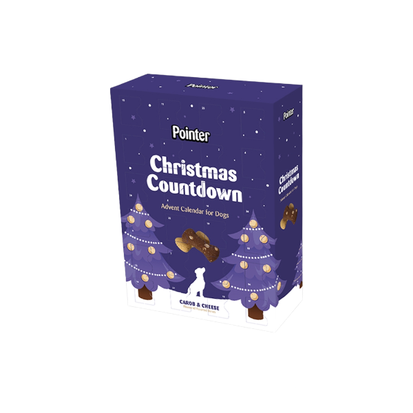 Pointer Advent Calendar