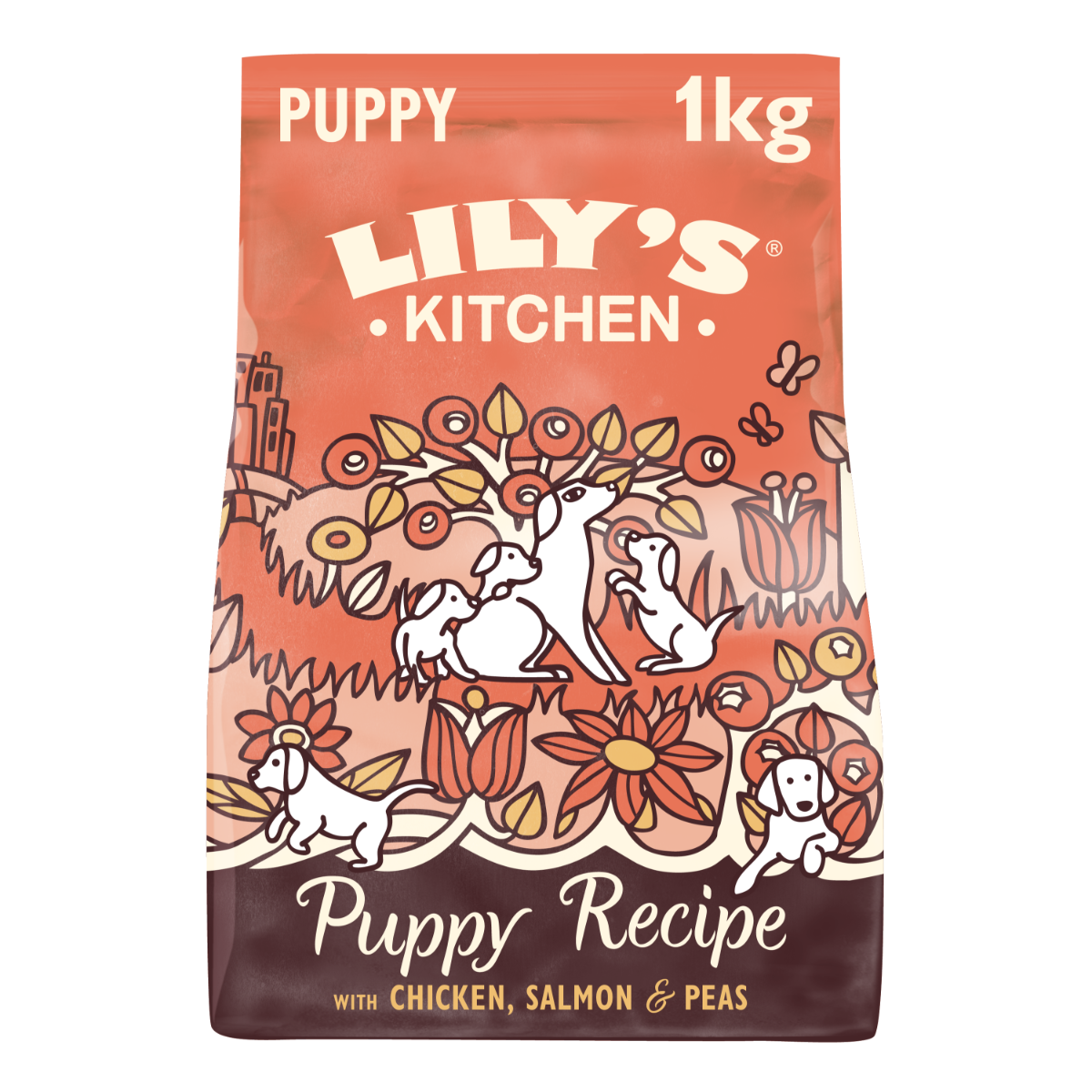 Lily's Kitchen Puppy Chicken/ Salmon GrainFree Recipe 1kg - Vital Pet Group