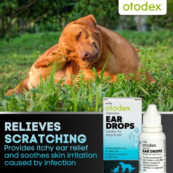 Otodex Ear Drops 14ml