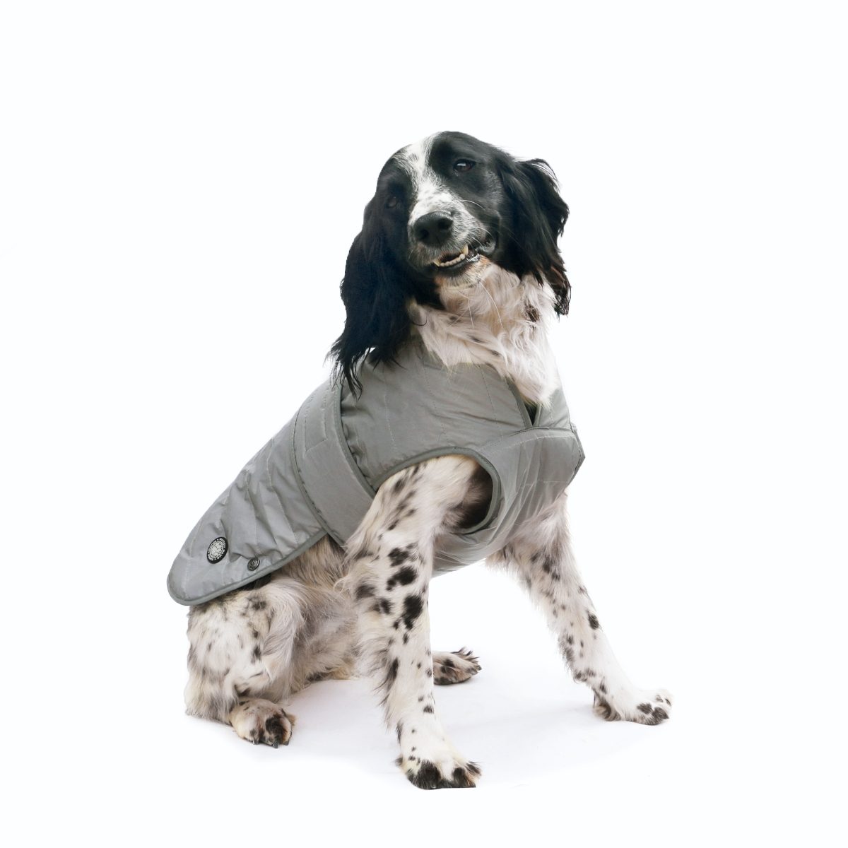 Ultra paws fleece lined reflective outlet comfort coat for dogs