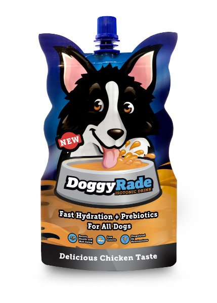 DoggyRade Prebiotic Drink - Chicken 250ml