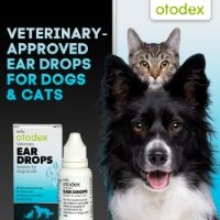 Otodex Ear Drops 14ml