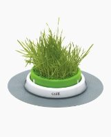 Catit Senses 2.0 Grass Planter