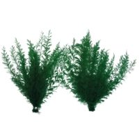 Supa Ferns Single Mixed Colours Standard