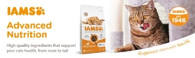 IAMS September Promotions