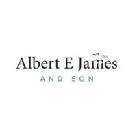 Albert E James
