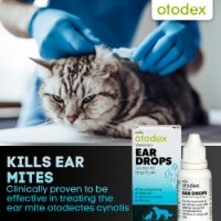 Otodex Ear Drops 14ml