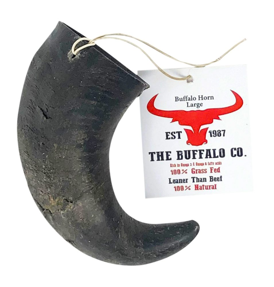 the-buffalo-co-buffalo-horn-large-vital-pet-group